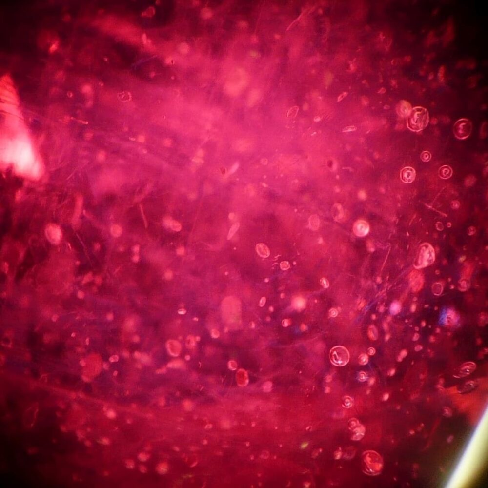 basic-intermediate-gem-program-recorded-branko-gems